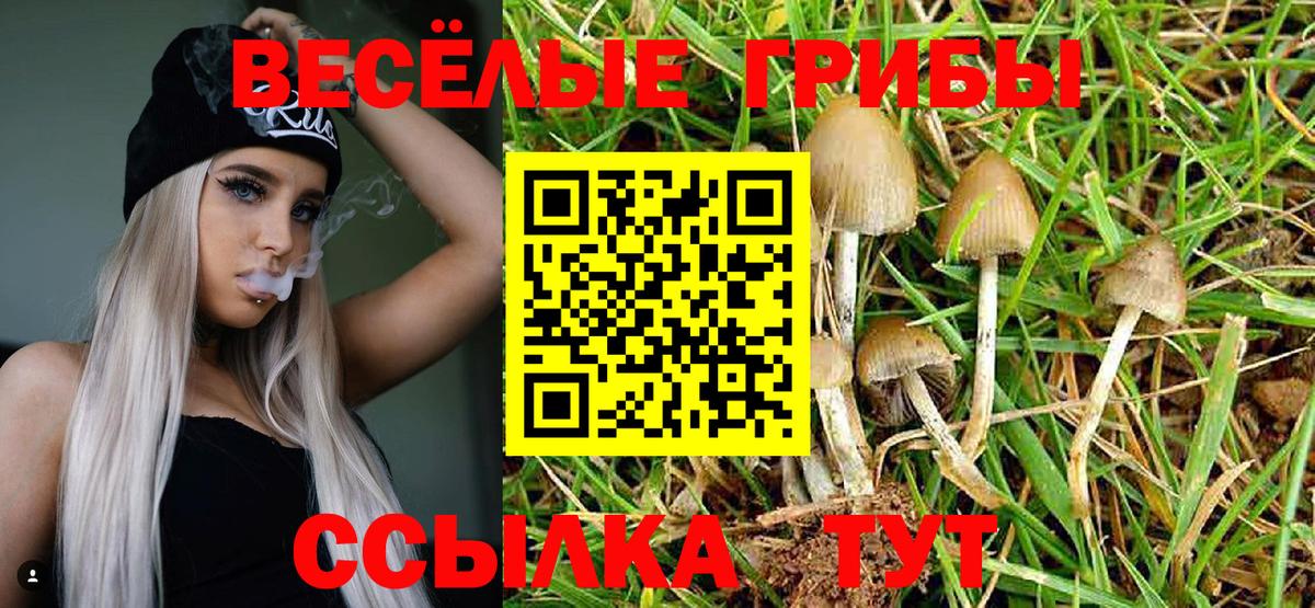 Галлюциногенные грибы MAGIC MUSHROOMS  Вход с VPN  Похвистнево 