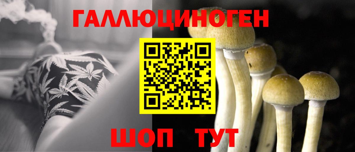 Псилоцибиновые грибы MAGIC MUSHROOMS Похвистнево